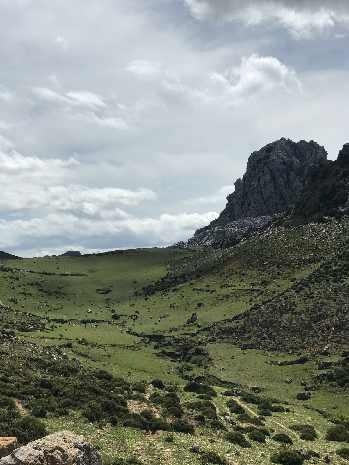15 Day Ultimate Morocco Adventure from Agadir - Image 2