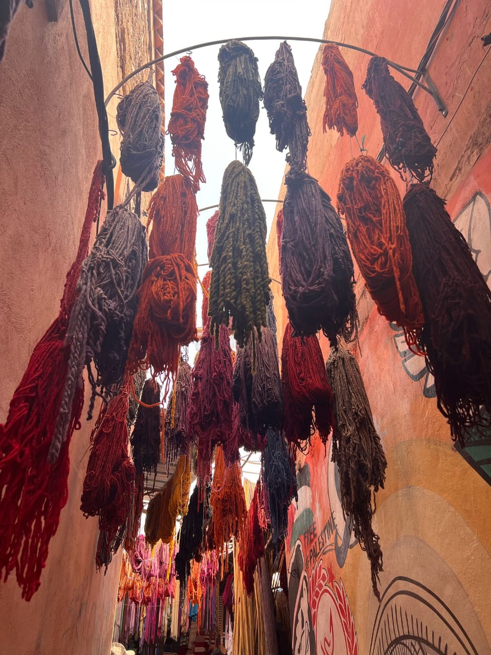 15 Day Ultimate Morocco Adventure from Agadir - Image 4