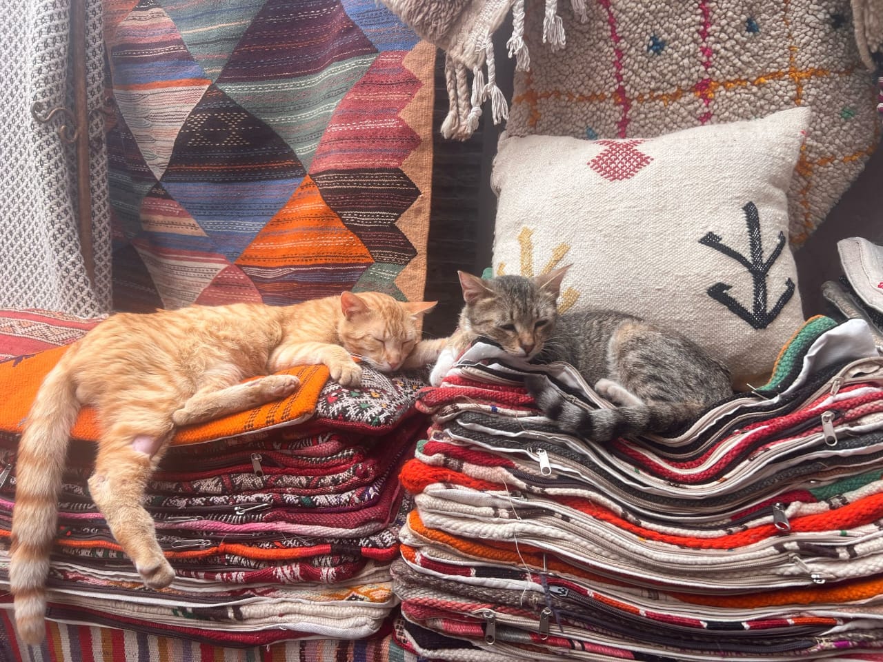 11 days trip from Marrakech - Image 4