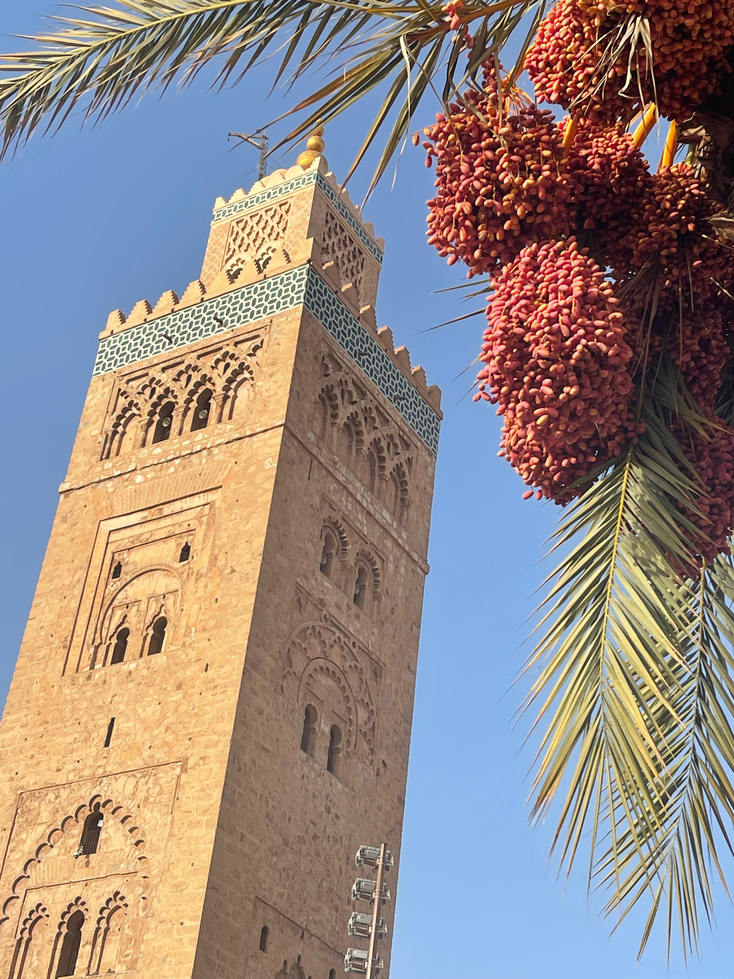 3 Day Trips from Marrakesh - Image 8