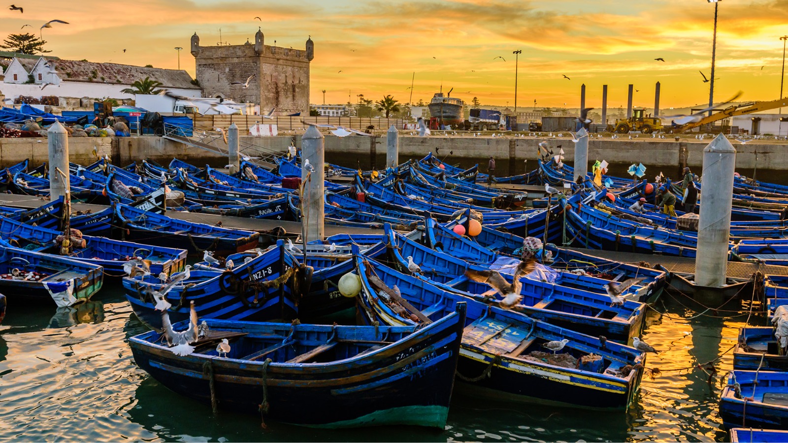 5 Day Guided Morocco Desert Tour from Agadir - Image 2