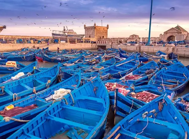 15 Days trip from Agadir - Image 2