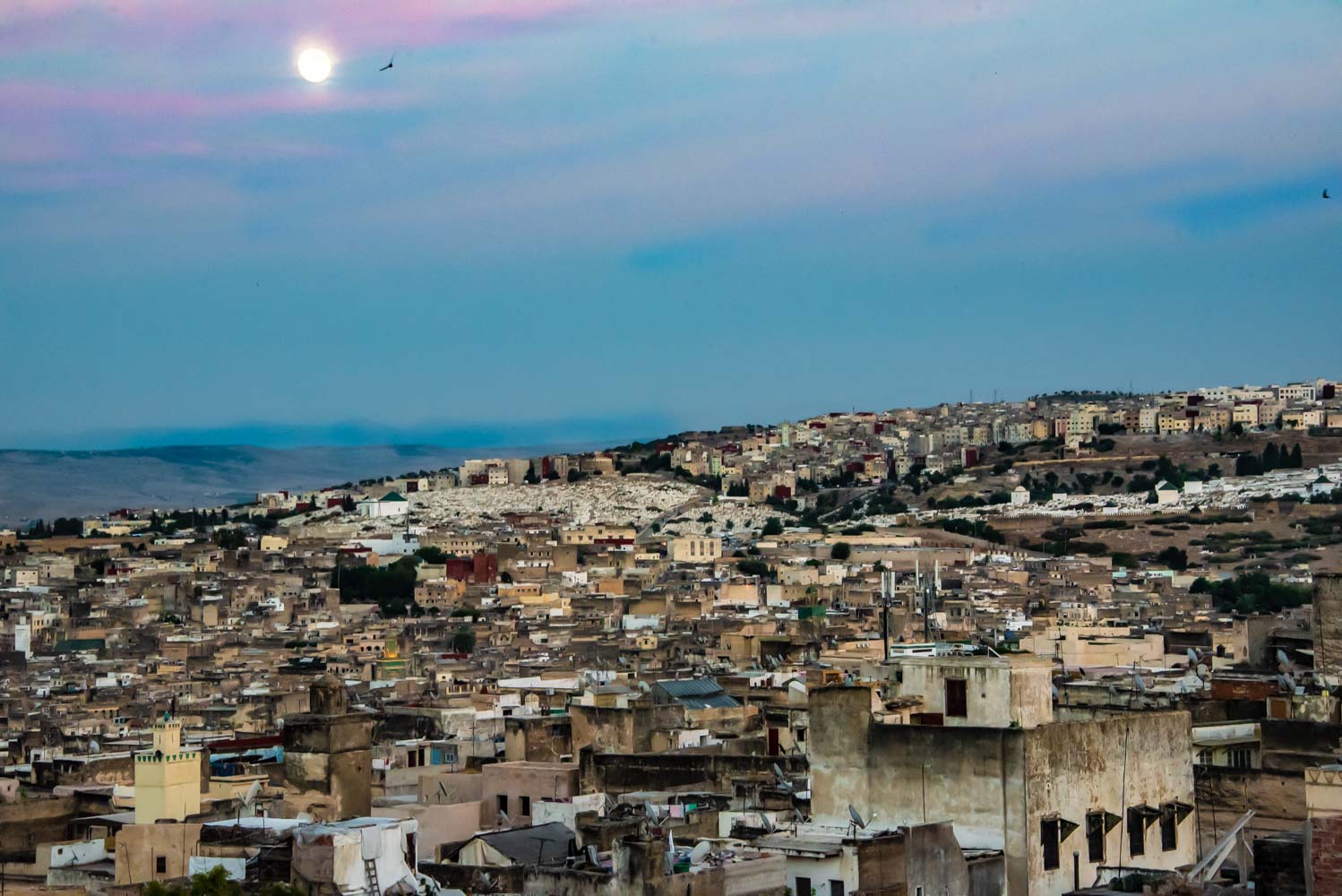 Best Day Trips from Fes – Explore Morocco’s Top Destinations - Image 5